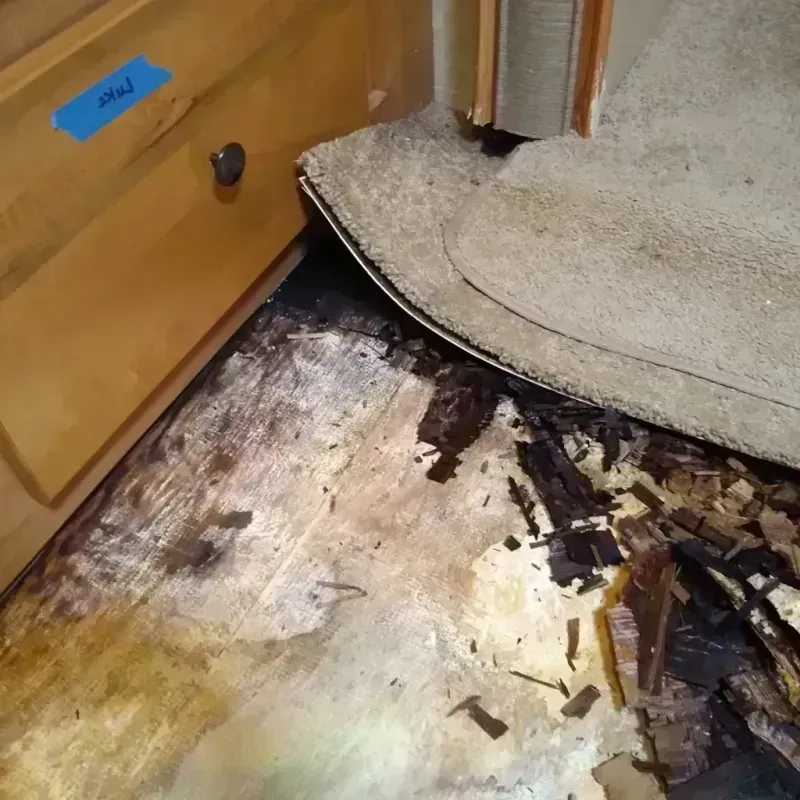 Wood Floor Water Damage in Holiday City South, NJ